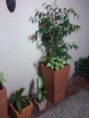 /album/trabajos-realizados/foto0291-jpg/